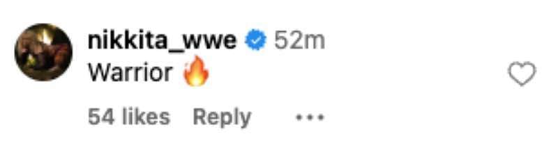 Screengrab of Nikkita Lyons' comment